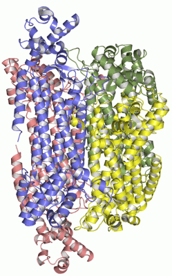 Image Asym./Biol. Unit - manually