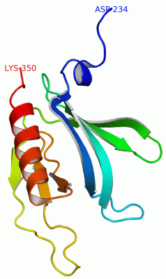 Image NMR Structure - manually