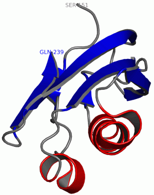 Image NMR Structure - manually