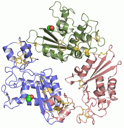 Image Asym.Unit - manually
