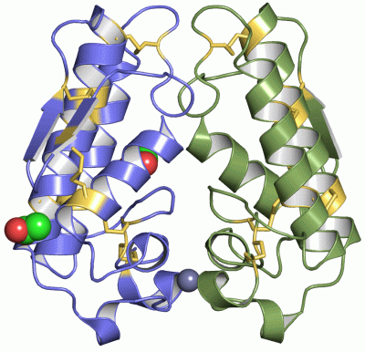 Image Asym./Biol. Unit - manually