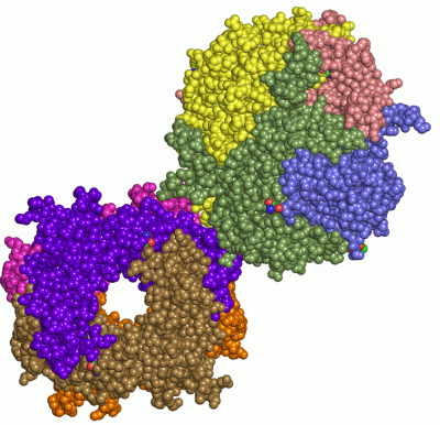 Image Asym.Unit - manually
