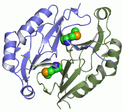 Image Asym./Biol. Unit - manually
