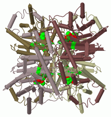Image Biol.Unit 1 - manually