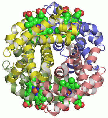 Image Asym./Biol. Unit - manually