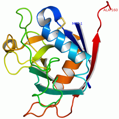 Image Asym./Biol. Unit - manually