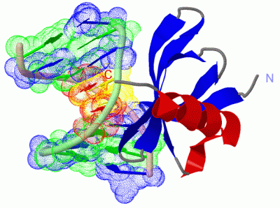 Image Asym./Biol. Unit - manually