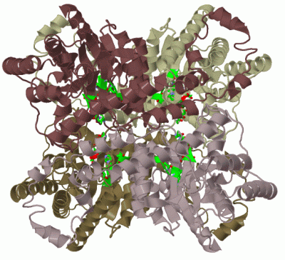 Image Biol.Unit 1 - manually