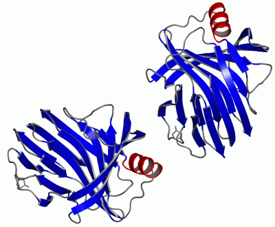 Image Asym.Unit - manually