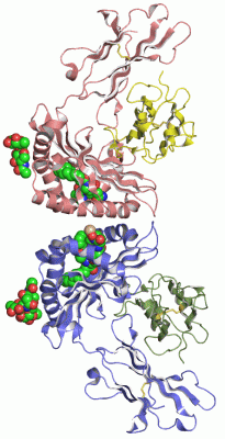 Image Asym./Biol. Unit - manually