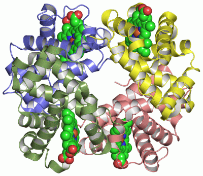 Image Asym./Biol. Unit - manually