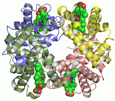 Image Asym./Biol. Unit - manually