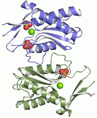 Image Asym./Biol. Unit - manually