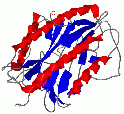 Image Asym./Biol. Unit - manually