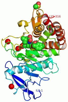 Image Asym./Biol. Unit - manually