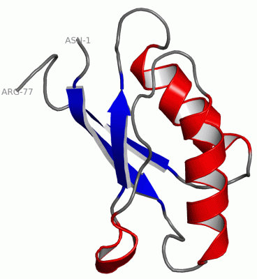 Image NMR Structure - manually