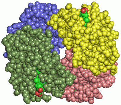 Image Asym./Biol. Unit - manually