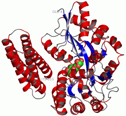 Image Asym./Biol. Unit - manually