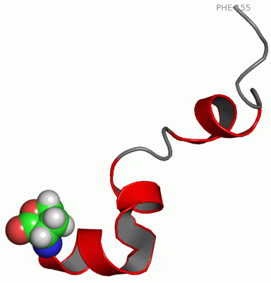 Image NMR Structure - manually