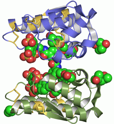 Image Asym./Biol. Unit - manually