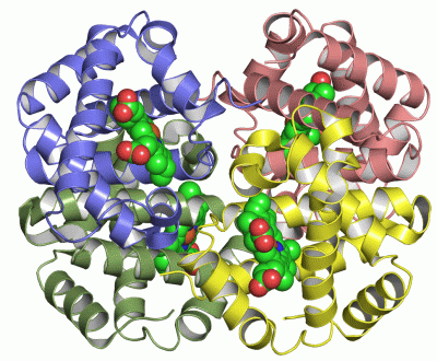 Image Asym./Biol. Unit - manually