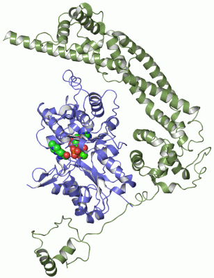 Image Asym./Biol. Unit - manually