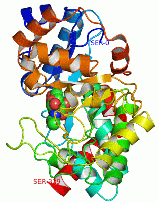 Image Asym./Biol. Unit - manually