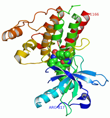 Image Asym./Biol. Unit - manually