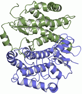 Image Asym./Biol. Unit - manually