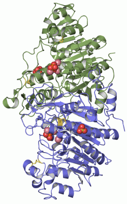 Image Asym./Biol. Unit - manually