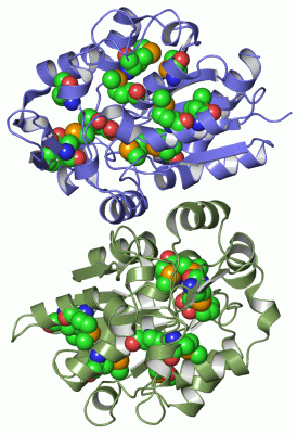 Image Asym.Unit - manually