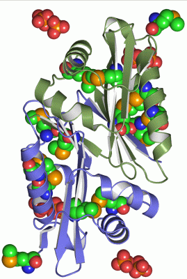 Image Asym./Biol. Unit - manually