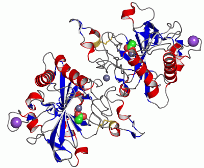 Image Asym.Unit - manually