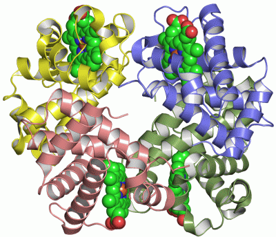 Image Asym./Biol. Unit - manually