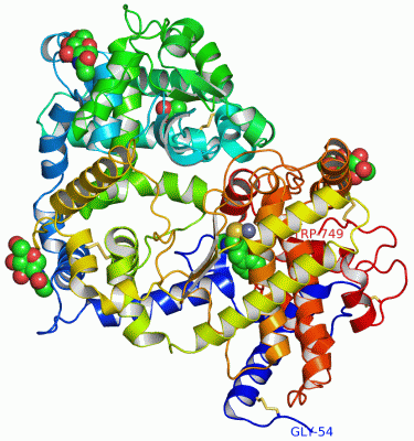 Image Asym./Biol. Unit - manually