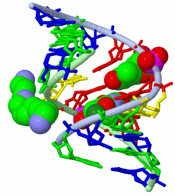 Image Asym./Biol. Unit - manually