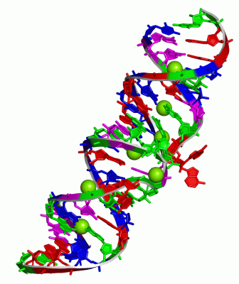 Image Asym./Biol. Unit - manually