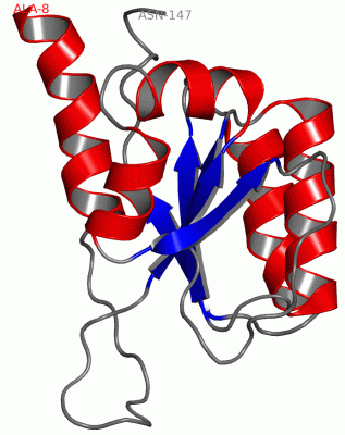 Image NMR Structure - manually