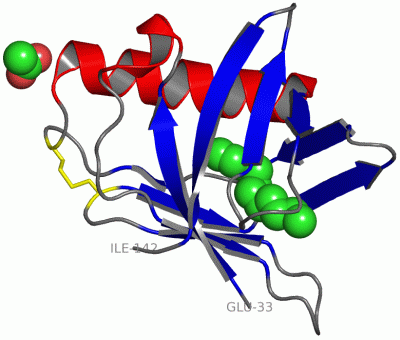 Image Asym./Biol. Unit - manually