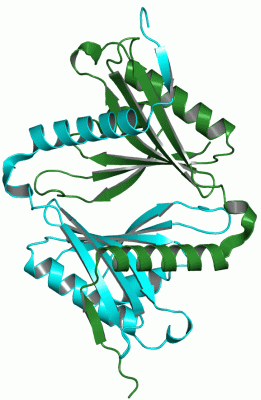 Image Asym./Biol. Unit - manually