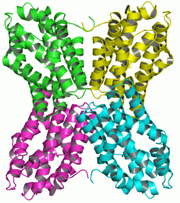 Image Asym./Biol. Unit - manually