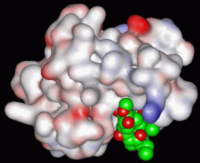 Image Asym./Biol. Unit - manually