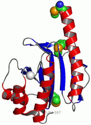 Image Asym.Unit - manually