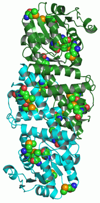 Image Asym.Unit - manually