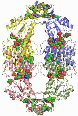 Image Asym./Biol. Unit - manually