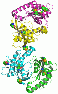 Image Asym.Unit - manually