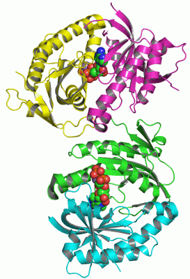 Image Asym.Unit - manually