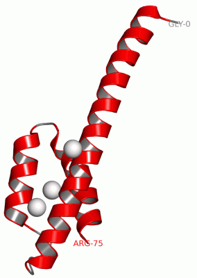 Image Asym.Unit - manually