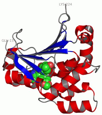 Image Asym./Biol. Unit - manually