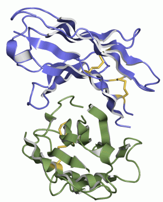 Image Asym./Biol. Unit - manually